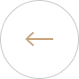 arrow-left